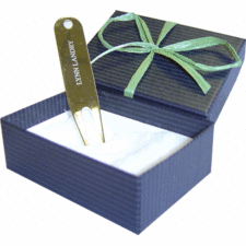 Personalized Divot Tools